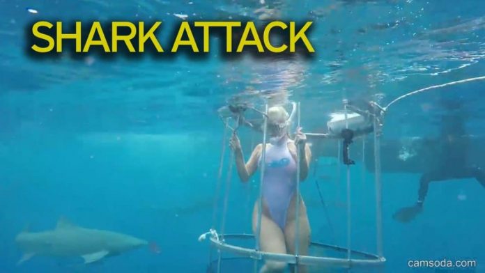 porn shark publicity stunt