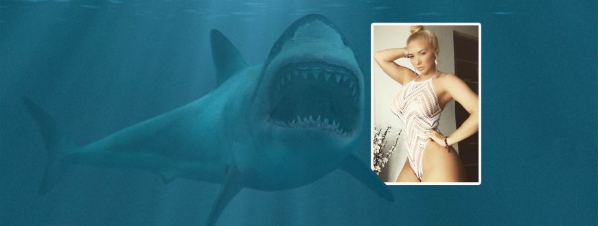 pornstar shark attack