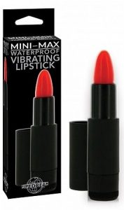 Mini Max Vibrating Lipstick