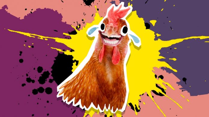 sex chicken