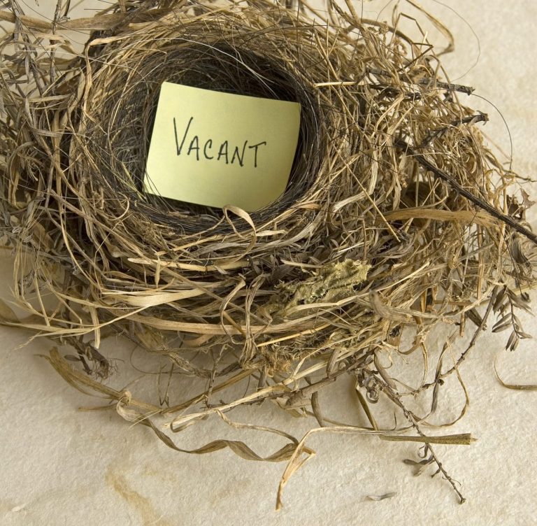 Empty Nest Syndrome